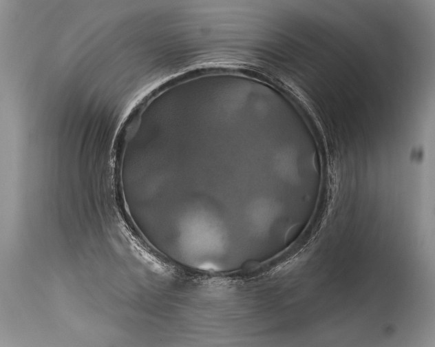 X0000115330779200911161808