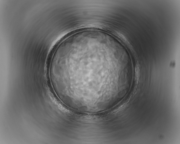 X0000115330780200911161808
