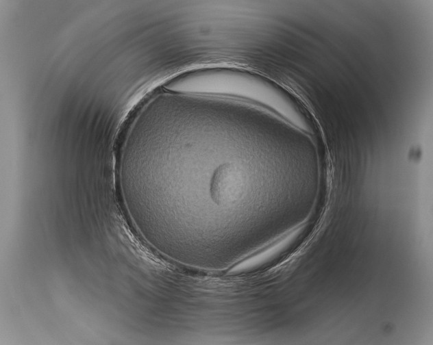 X0000115330781200911161808