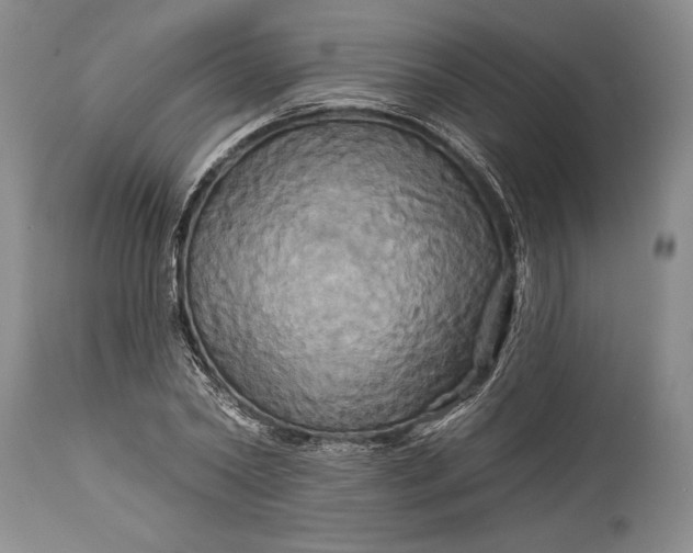 X0000115330782200911161808