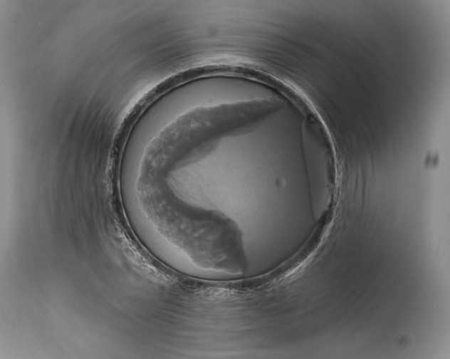 X0000115330783200911161808