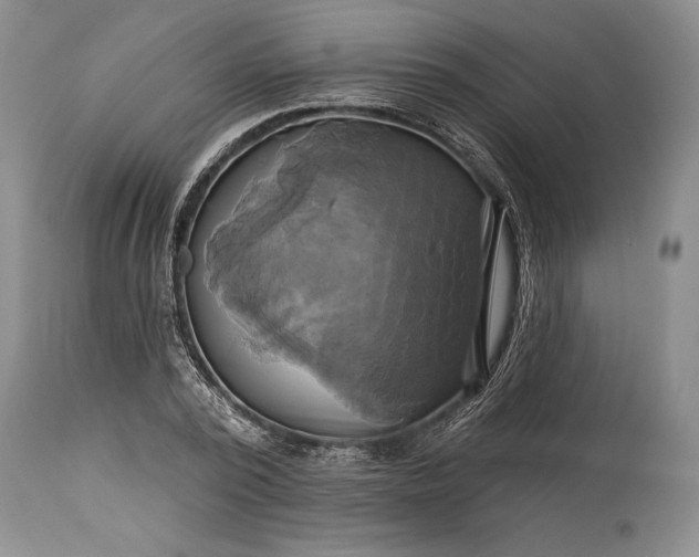 X0000115330784200911161808