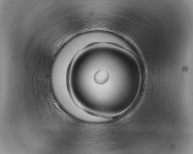 X0000115330785200911161808