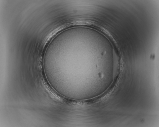 X0000115330786200911161808
