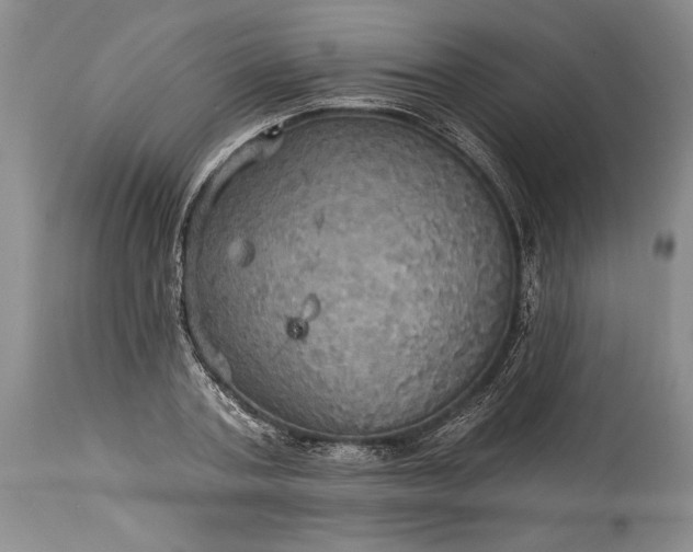 X0000115330787200911161808