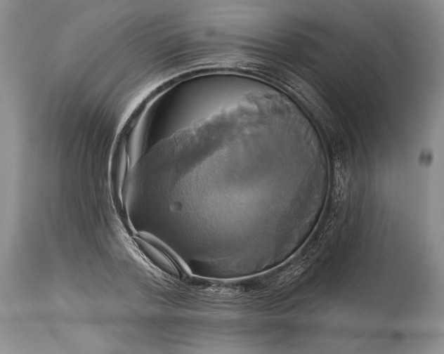 X0000115330788200911161808