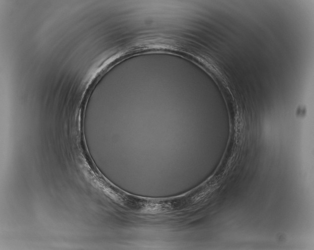 X0000115330790200911161808