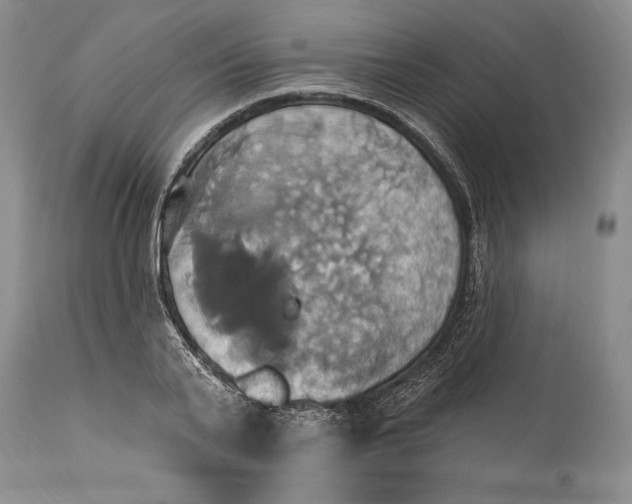 X0000115330791200911161808