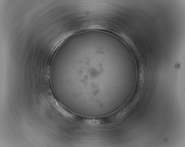 X0000115330793200911161808