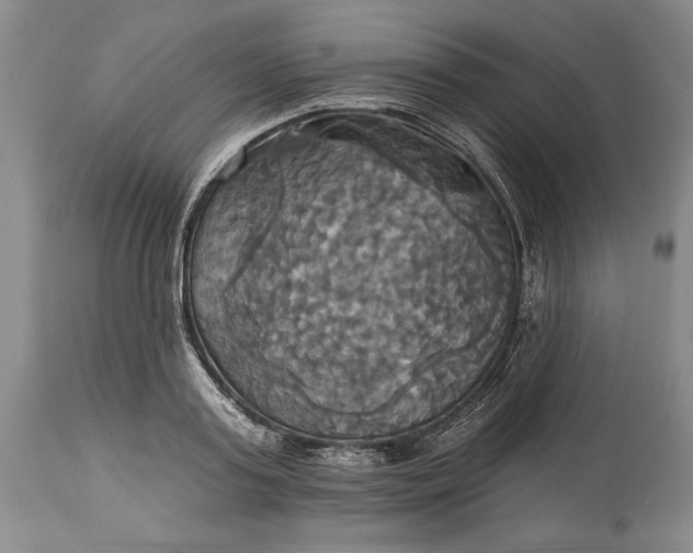 X0000115330795200911161808