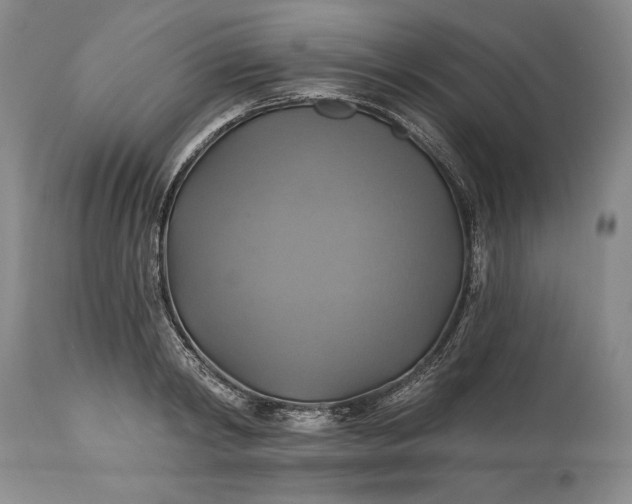 X0000115330798200911161808