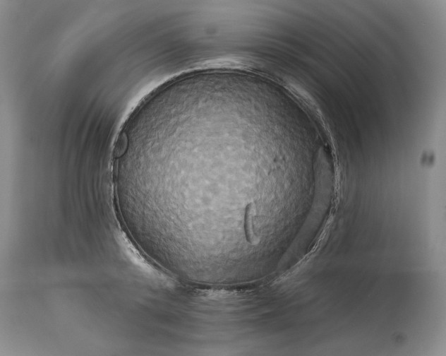X0000115330800200911161808