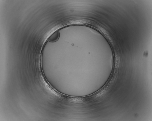 X0000115330802200911161807