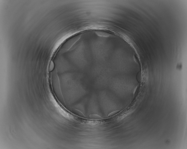 X0000115330803200911161807