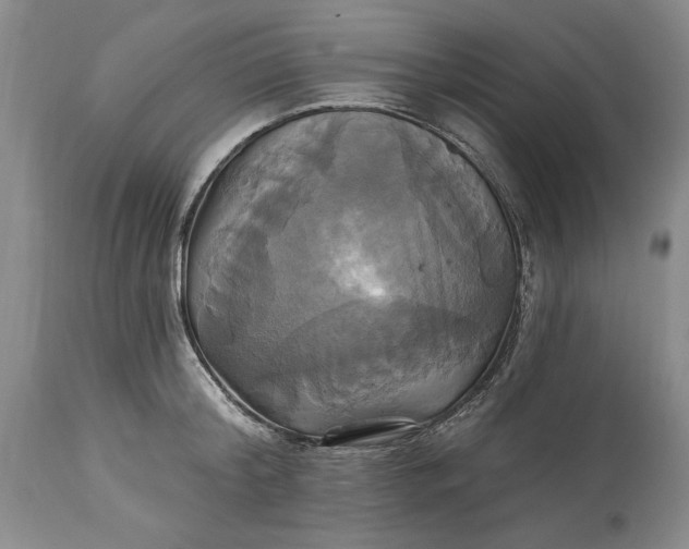 X0000115330804200911161807