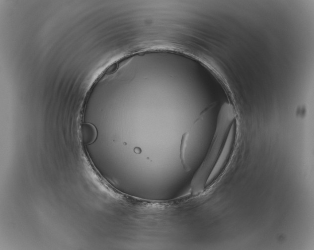 X0000115330806200911161807