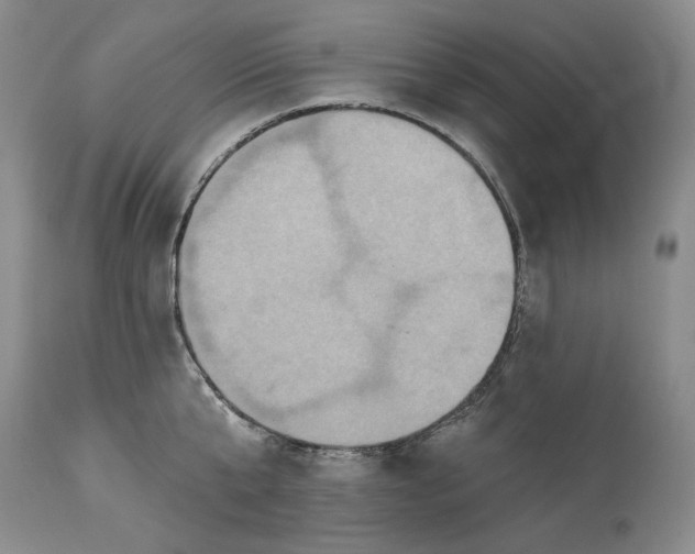 X0000115330807200911161807