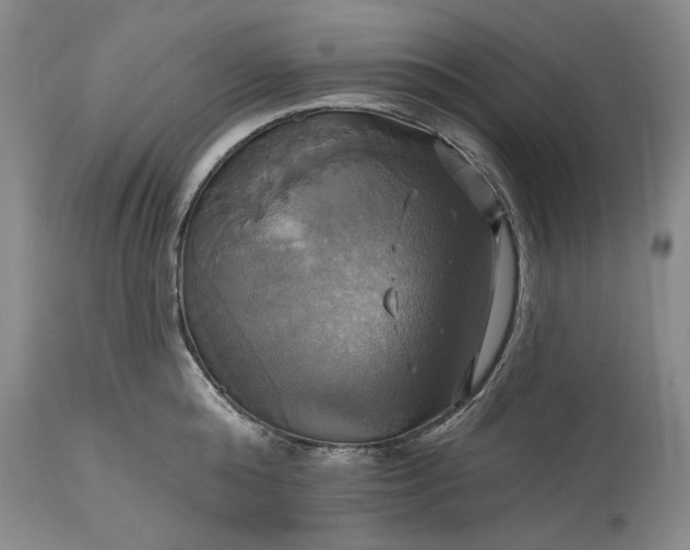 X0000115330808200911161807
