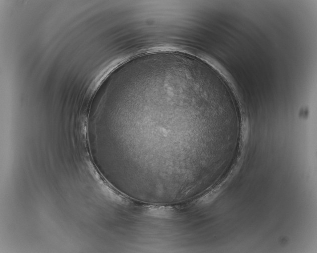X0000115330809200911161807