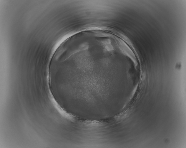 X0000115330811200911161807