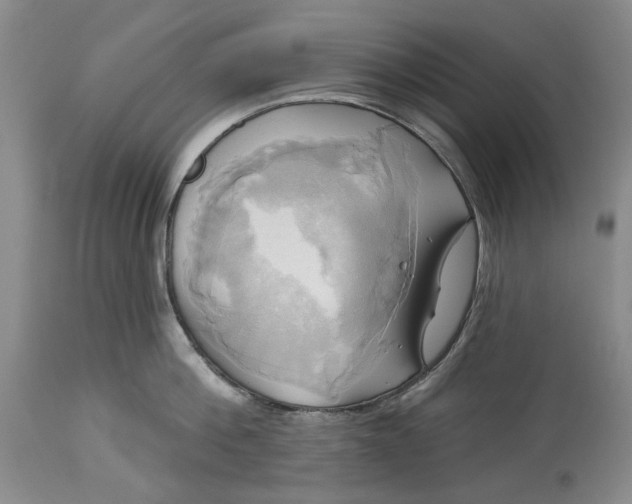 X0000115330812200911161807
