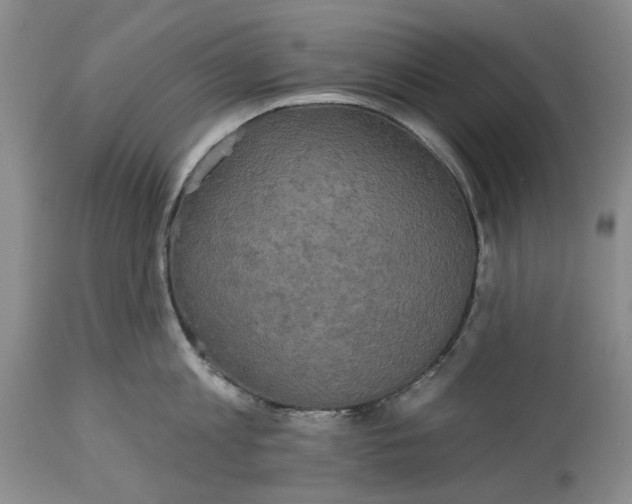 X0000115330813200911161807