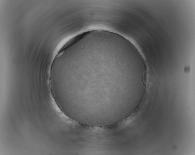X0000115330815200911161807
