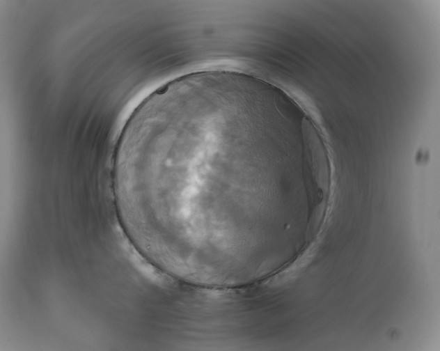 X0000115330816200911161807