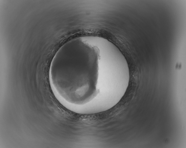 X0000115330817200911161807