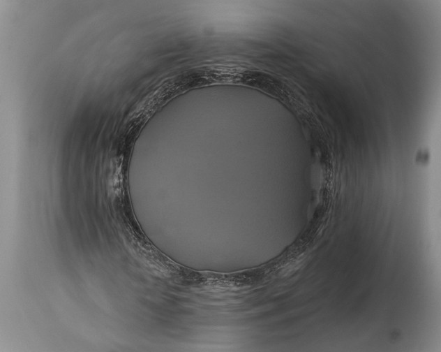 X0000115330818200911161807