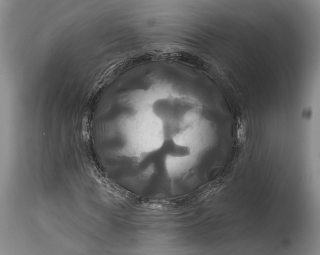 X0000115330819200911161807