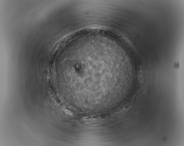 X0000115330821200911161807