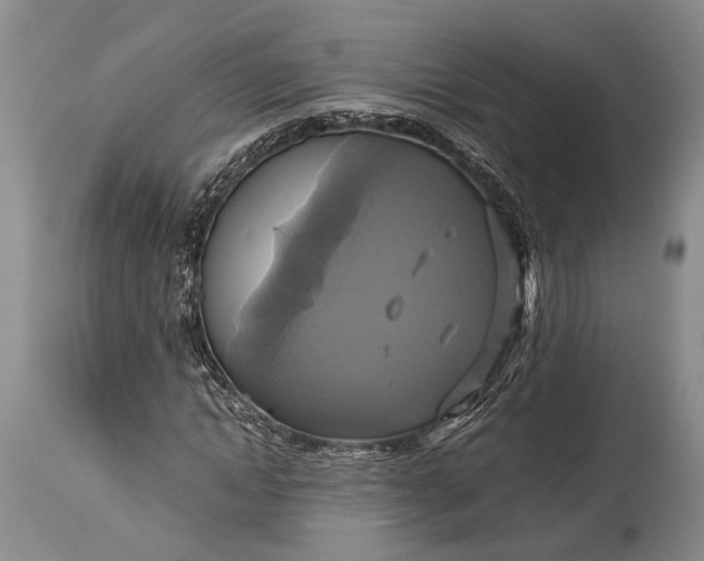 X0000115330822200911161807