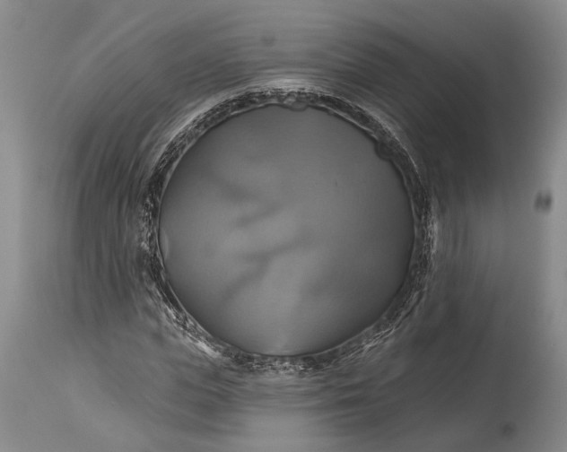 X0000115330823200911161807