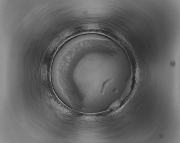 X0000115330825200911161807