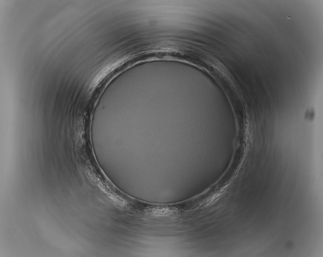 X0000115330826200911161807