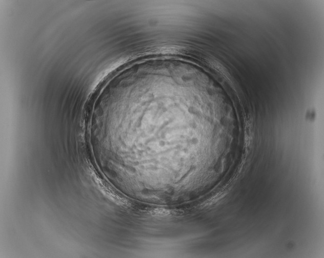 X0000115330827200911161807