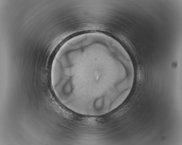 X0000115330828200911161807