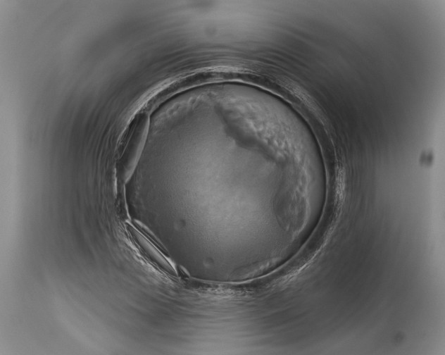 X0000115330829200911161807