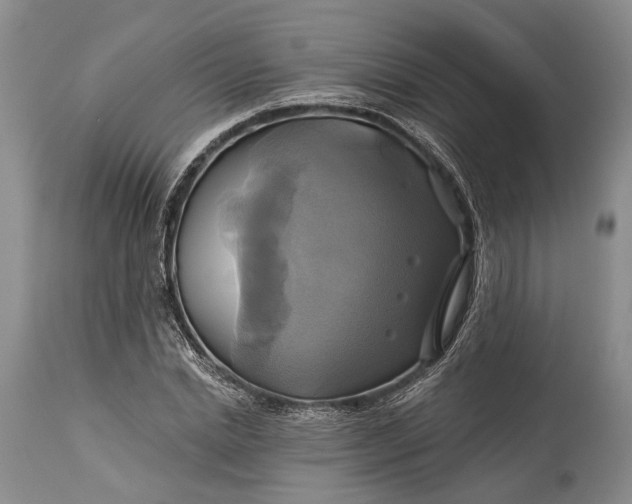 X0000115330830200911161807