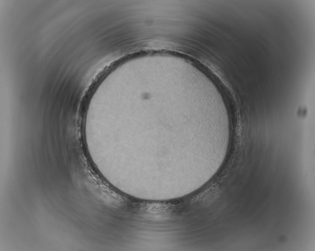 X0000115330832200911161807