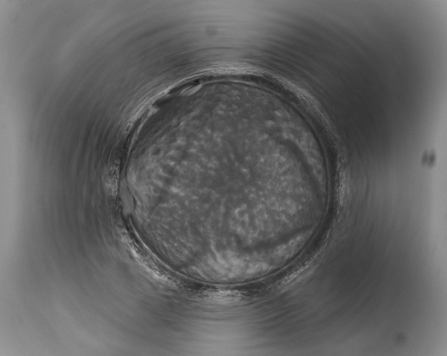 X0000115330833200911161807