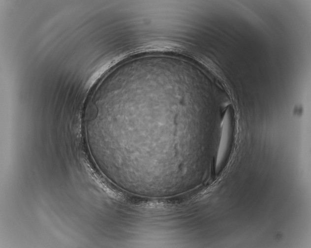 X0000115330834200911161807