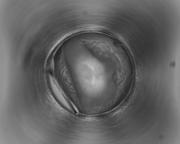 X0000115330835200911161807