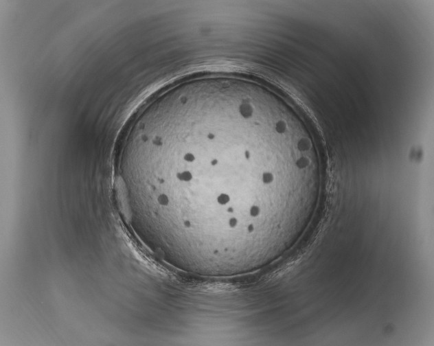 X0000115330837200911161807