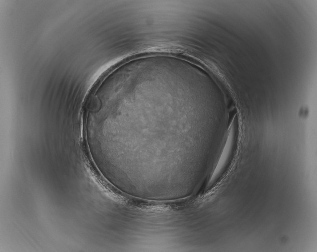 X0000115330838200911161807