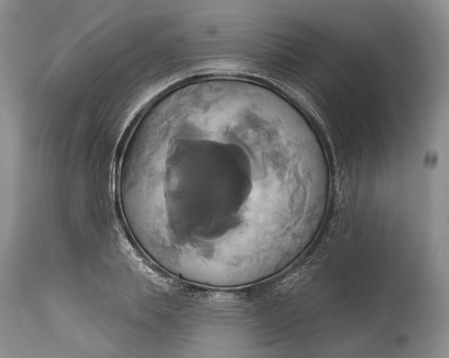 X0000115330839200911161807