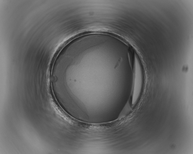 X0000115330840200911161807