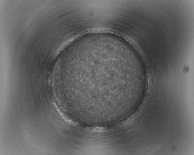 X0000115330841200911161807