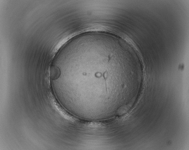 X0000115330842200911161807